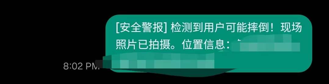 Safety alert notification with emergency message